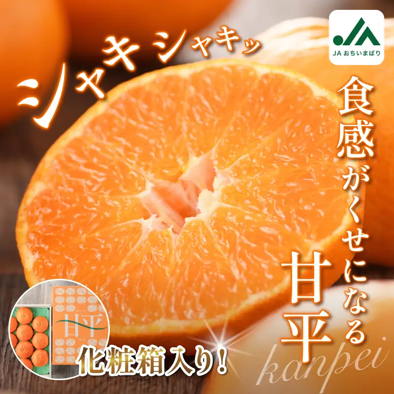【先行予約】 甘平（贈答用）化粧箱 4L～2L 8～12玉