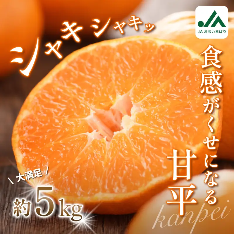 【先行予約】甘平（家庭用）レギュラー箱 約5kg 