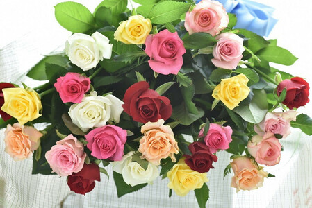 バラの花束（50cm・おまかせMIX20本）【11100-0177】