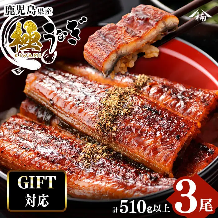 【ギフト対応】楠田の極うなぎ　蒲焼き170ｇ以上×3尾(計510ｇ以上） うなぎ 鰻 ウナギ 国産 鹿児島県産 九州産 蒲焼き 冷凍 うな重 ひつまぶし b2-018
