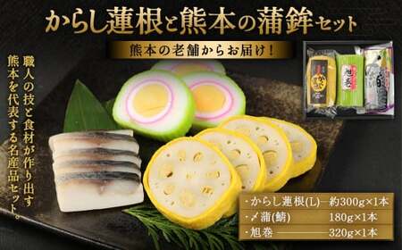 からし蓮根と熊本の蒲鉾セット 計800g 旭巻 〆蒲 かまぼこ 蒲鉾
