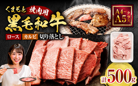 ＜ R8年熊本地震復興支援 ＞ くまもと黒毛和牛 焼肉用 ロース・カルビ 切り落とし 500g A4~A5クラス 牛肉