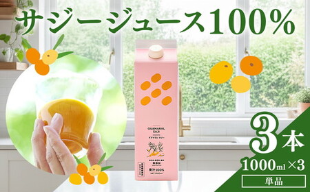  サジージュース 100% 1000ml×3本セット _DX07