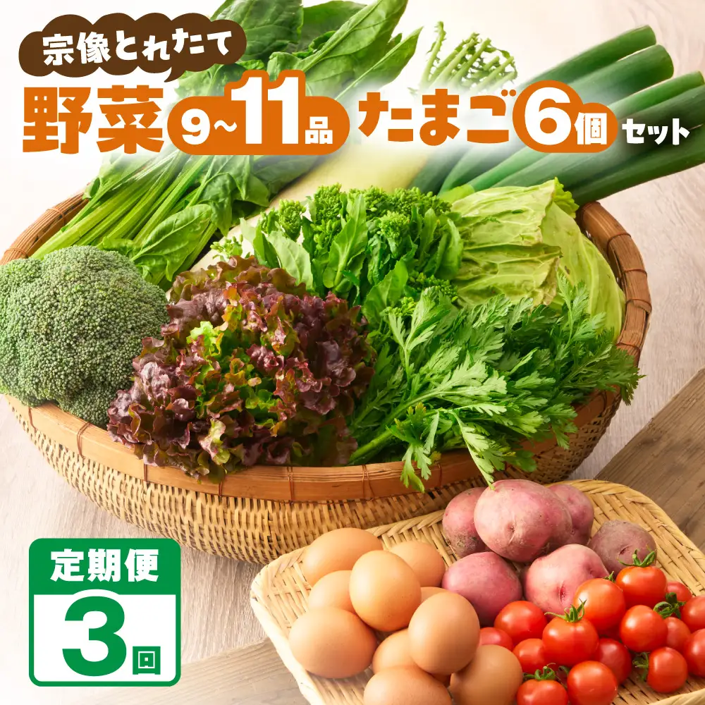 【定期便/3回/毎月お届け】宗像とれたて　野菜とたまごの定期便【オアシス】_HB0081