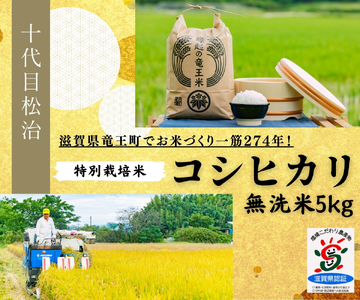米 コシヒカリ 無洗米 5kg 縁起の竜王米  ( 令和7年産米 ）