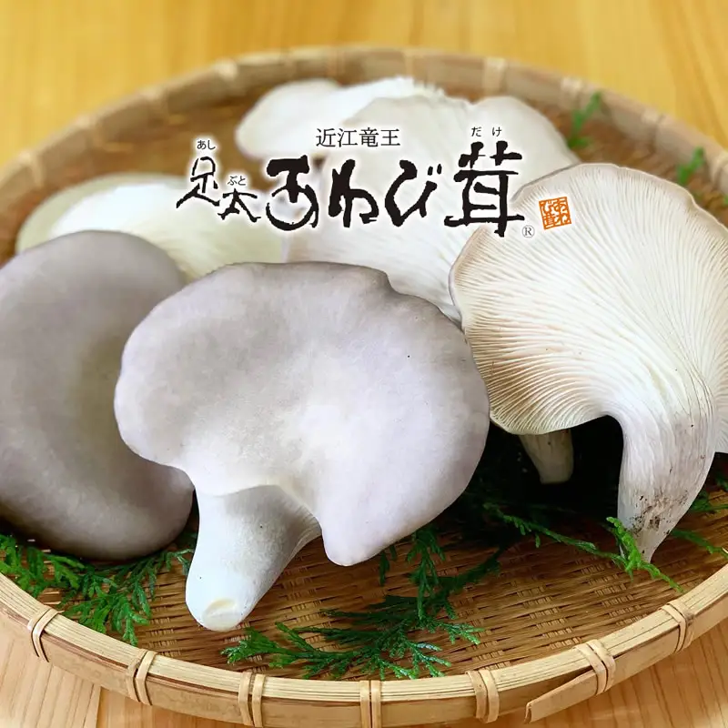 特選 竜王 足太あわび茸（生）500ｇ