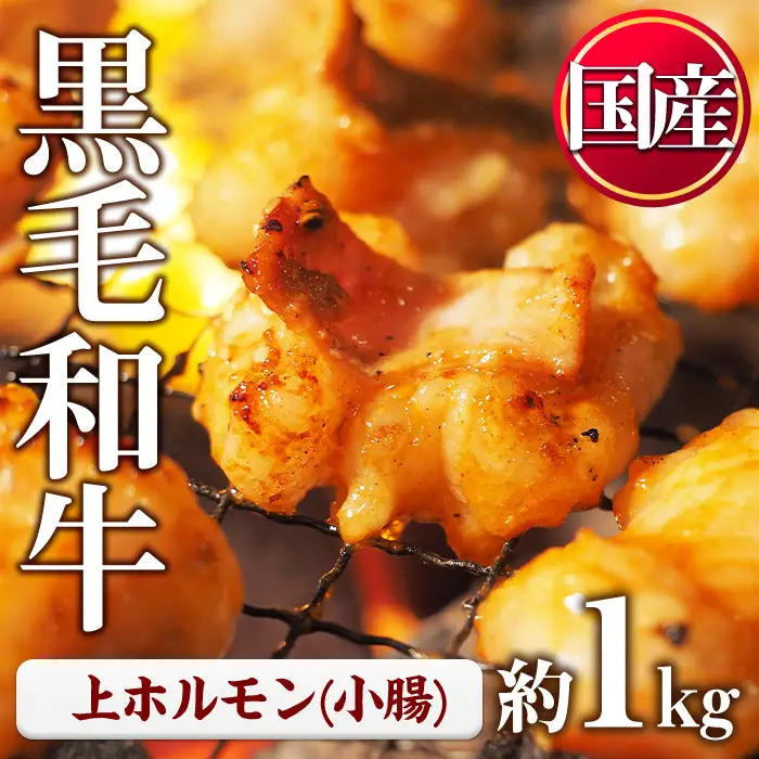 ホルモン 黒毛和牛 上ホルモン (計1kg) 【LRプラスK】 No.1001-02