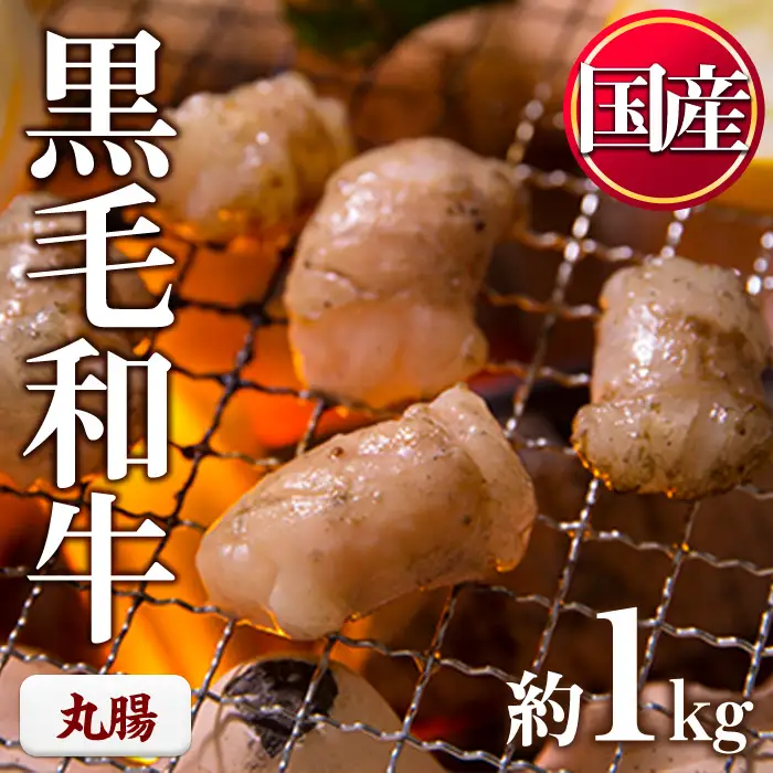 黒毛和牛 丸腸 計1kg 国産 牛肉【LRプラスK】No.1001-03 