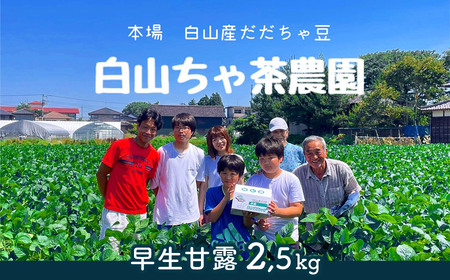 【令和9年産】 だだちゃ豆 「早生甘露」 2.5kg（500g×5袋） 山形セレクション認定 山形県鶴岡市 K-961 白山ちゃ茶農園 