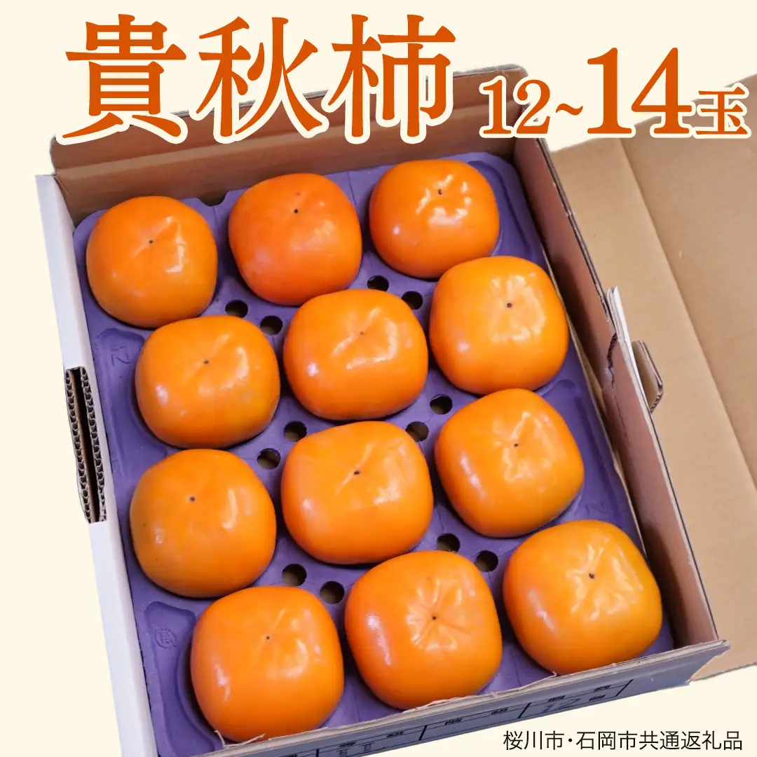 貴秋柿 12～14玉 (桜川市・石岡市共通返礼品) 果物 くだもの フルーツ 柿 かき 2026年11月上旬以降発送 [DC006sa]