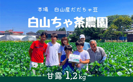 【令和9年産】 だだちゃ豆 「甘露」 1.2kg（600g×2袋）山形セレクション認定 山形県鶴岡市 K-961 白山ちゃ茶農園