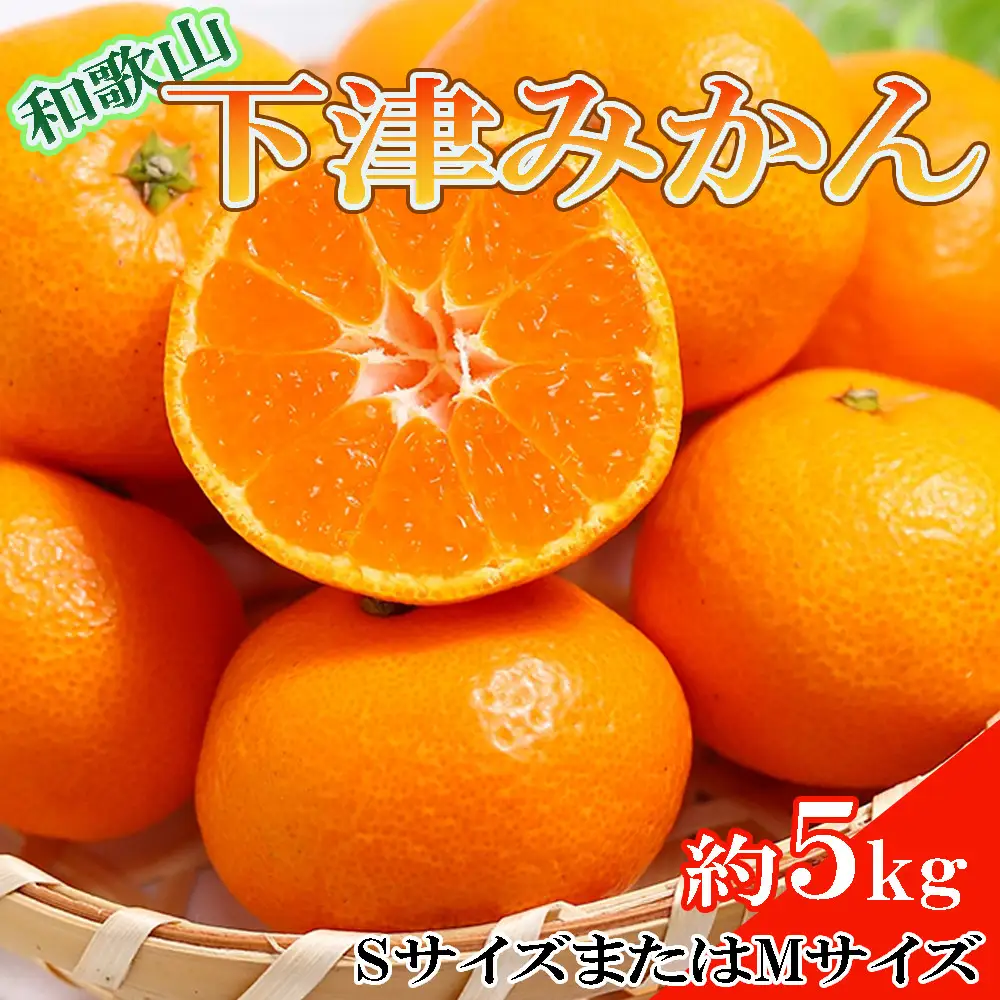 ［産直・秀品］和歌山下津みかん約5kg(SサイズまたはMサイズのいずれかをお届け) ★2026年11月中旬頃より順次発送［TM73］
