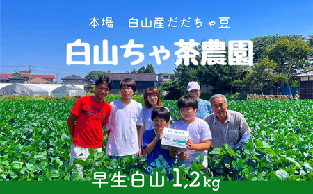 【令和8年産先行予約】山形セレクション認定　だだちゃ豆 「早生白山」 1.2kg（600g×2袋）　山形県鶴岡市　白山ちゃ茶農園　K-831　| だだちゃ豆 枝豆 えだまめ 豆 1.2キロ 夏の味覚 おつまみ 旬の野菜 期間限定 名産品 ビールのお供 手土産 山形県 庄内 東北 返礼品