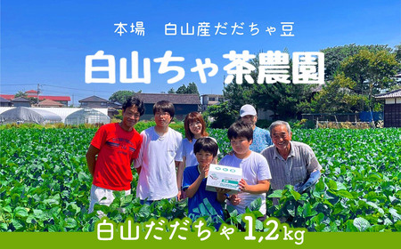 【令和8年産先行予約】山形セレクション認定　だだちゃ豆 「白山だだちゃ」 1.2kg（600g×2袋）　山形県鶴岡市　白山ちゃ茶農園　K-831　| だだちゃ豆 枝豆 えだまめ 豆 1.2キロ 夏の味覚 おつまみ 旬の野菜 期間限定 名産品 ビールのお供 手土産 山形県 庄内 東北 返礼品