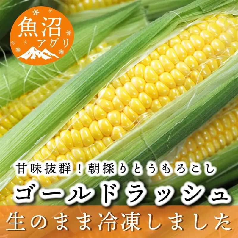 魚沼産 冷凍生とうもろこしと冷凍粒とうもろこしのセット 野菜 国産 日本産 簡単 便利 コーン 冷凍コーン ゴールドラッシュ 新潟県産 食材 食べ物 直送 産地直送 
