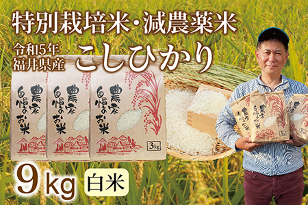〈新米〉減農薬米 こしひかり 9kg ／令和5年福井県産 （白米）