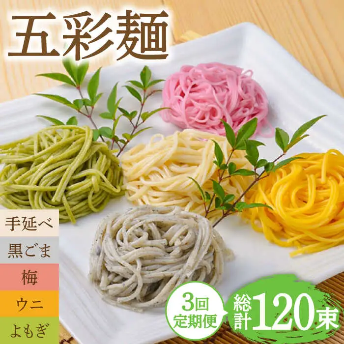 【3回定期便】五彩麺 セット 40束 / そうめん 素麺 黒ごま 梅 うに よもぎ / 麺 乾麺 食べ比べ 詰め合わせ カラフル / 南島原市 / のうち製麺 [SAF027]