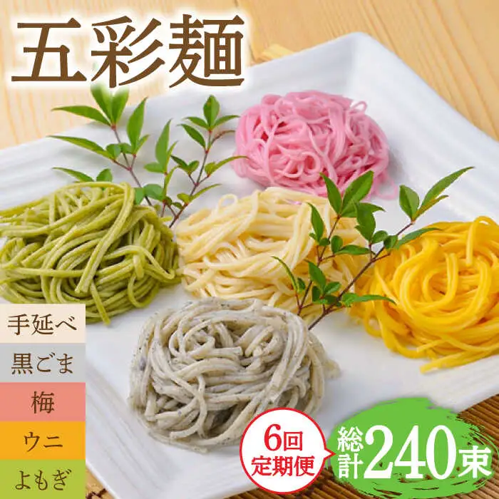 【6回定期便】五彩麺 セット 40束 / そうめん 素麺 黒ごま 梅 うに よもぎ / 麺 乾麺 食べ比べ 詰め合わせ カラフル / 南島原市 / のうち製麺 [SAF028]