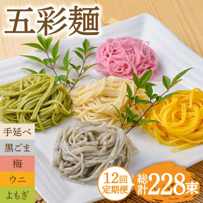 【12回定期便】五彩麺 セット（19束）/ そうめん 素麺 黒ごま 梅 うに よもぎ / 麺 乾麺 食べ比べ 詰め合わせ カラフル / 南島原市 / のうち製麺 [SAF032]