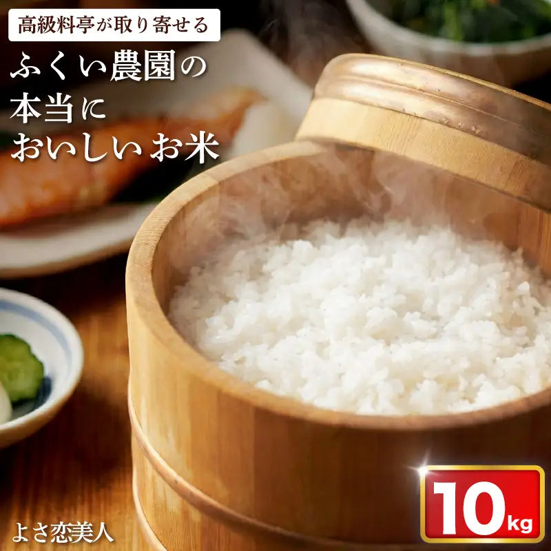 令和8年産 よさ恋美人 10kg 白米