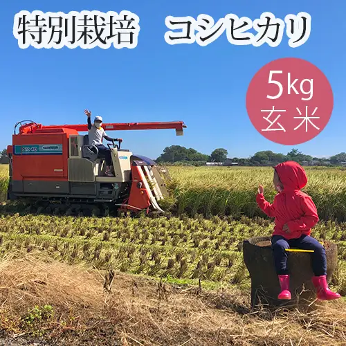 特別栽培 コシヒカリ 玄米５kg No.300