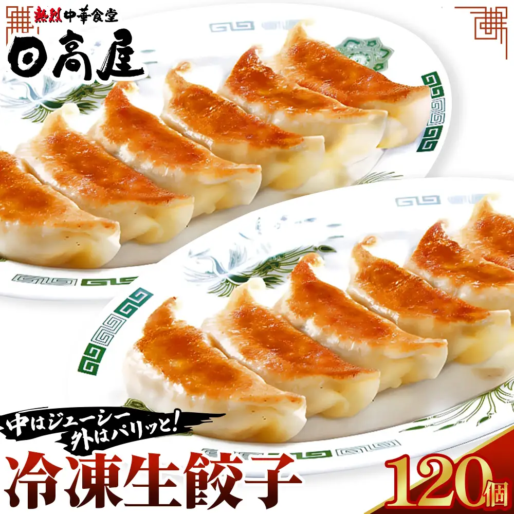 日高屋 冷凍生餃子 【120個】 No.308