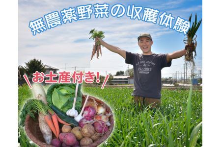 収穫野菜のお土産付き！東京近郊の畑で無農薬野菜の収穫体験（1組分） No.063