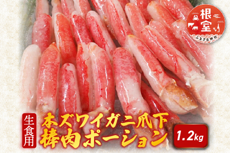 生食用本ズワイガニ爪下棒肉ポーション1.2kg B-14086
