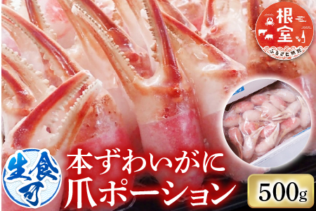 根室海鮮市場＜直送＞生食用本ズワイガニ爪ポーション500g(お刺身・かにしゃぶ・フライ等) A-28224