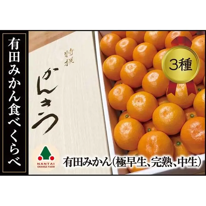 定期便 有田みかん 食べくらべ 3種 化粧箱 各約 3kg 南泰園 全3回 2026年 10月 発送開始 みかん