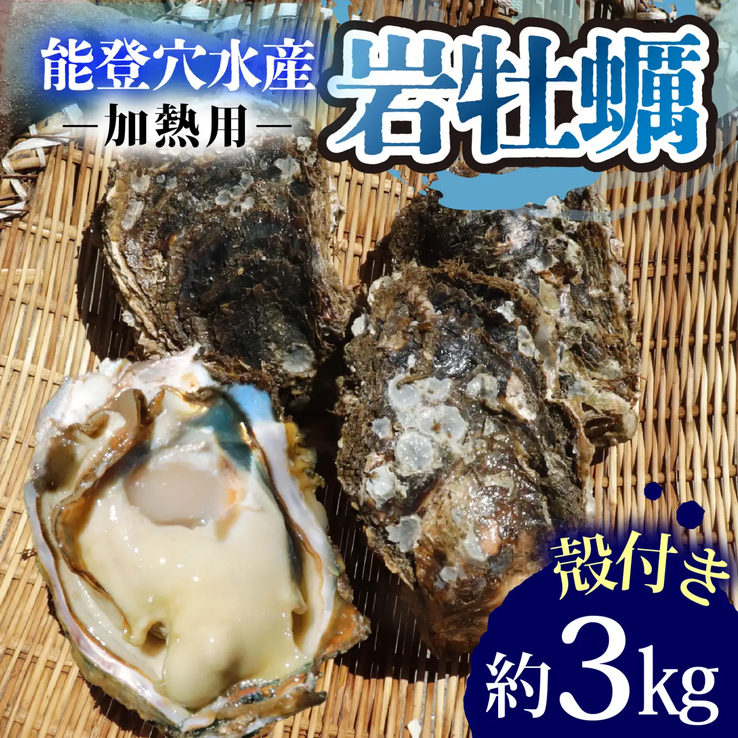 奥能登 松村水産の岩牡蠣 約3kg【殻付き・加熱用】/ 岩牡蠣