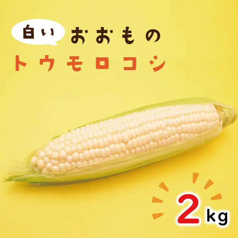 【6月下旬より発送】数量限定 白いおおもの(トウモロコシ)2kg （AY-5）