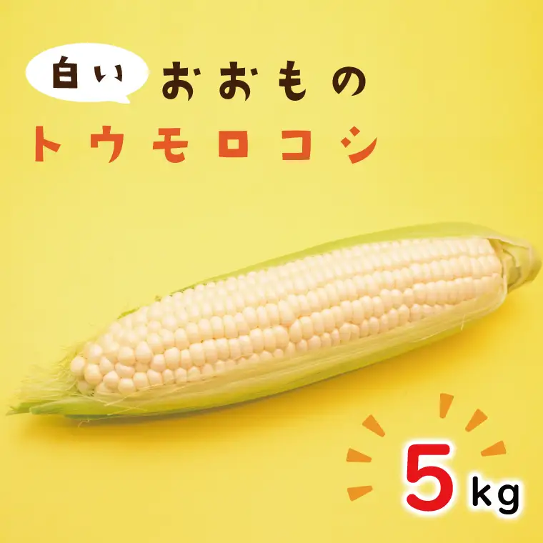 数量限定 白いおおもの(トウモロコシ)5kg （AY-6）