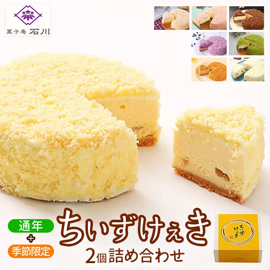 ちいずけぇき2個 詰め合わせ（チーズケーキ）【016-28】