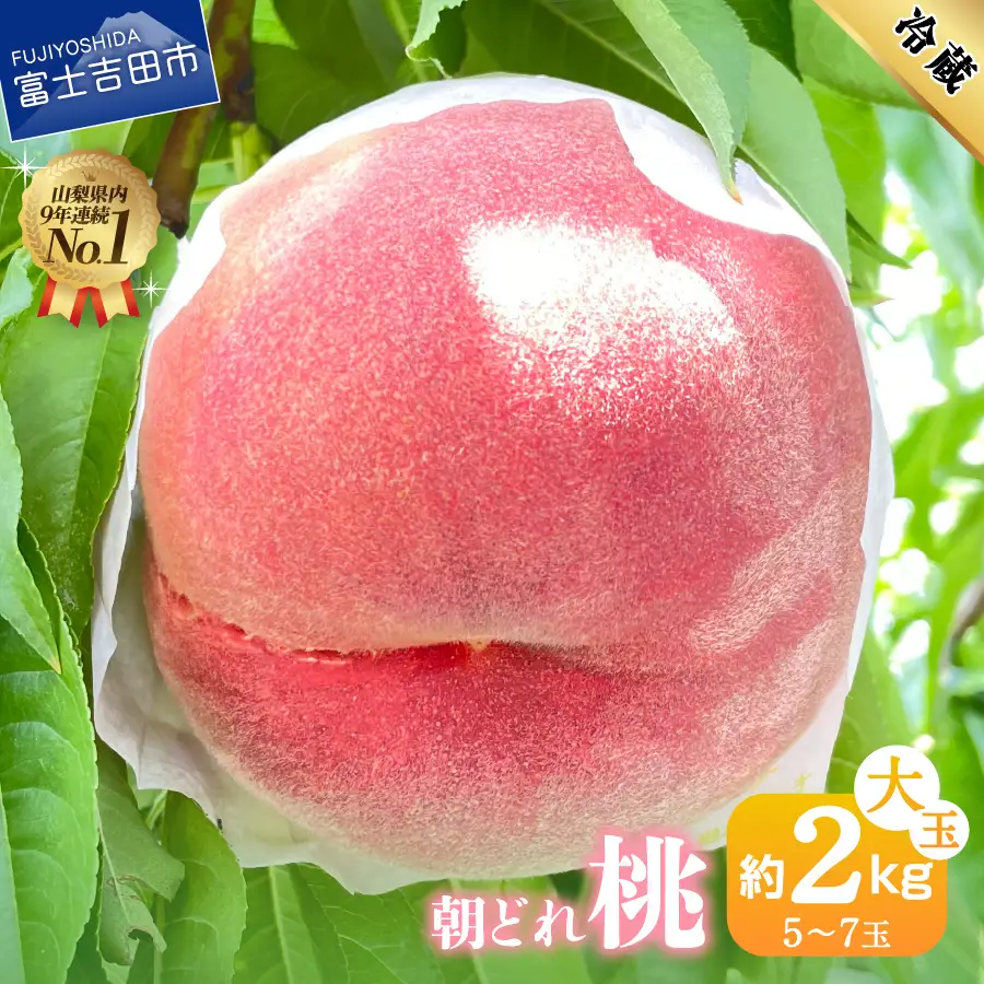 桃 山梨県産 朝どれ桃2kg もも フルーツ