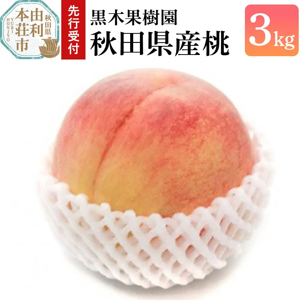 《先行受付》【数量限定】桃 3kg 黒木果樹園の桃 秋田県産（8月上旬から9月上旬に発送）