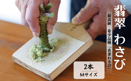 本わさび「真妻わさび」Mサイズ２本セット 約160ｇ 北アルプスの湧水が育てた山の宝石 ワサビ