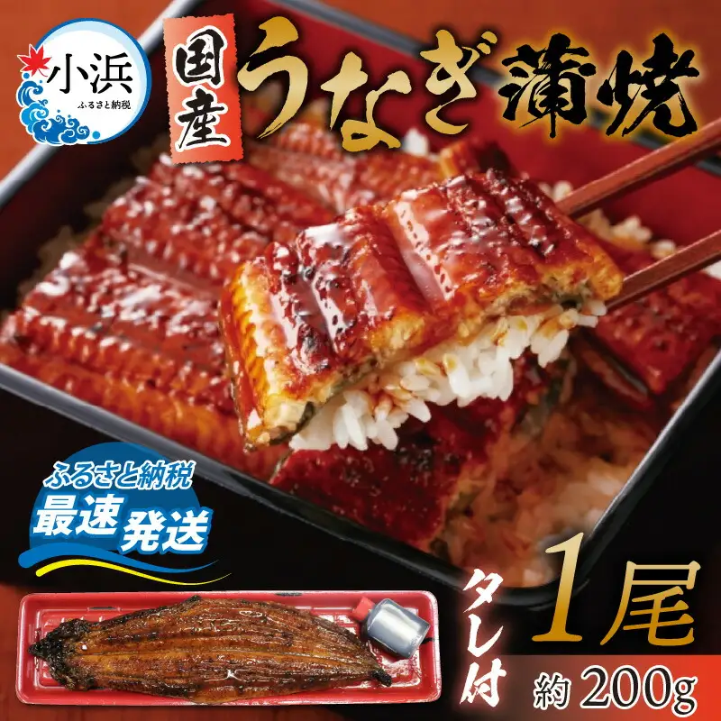 冷蔵 国産 うなぎ 蒲焼 1尾 約200g タレ付 / 鰻 うなぎ ウナギ /  小浜市 / 真魚源【配送不可地域：北海道・沖縄・離島】 [BFCJ001] 
