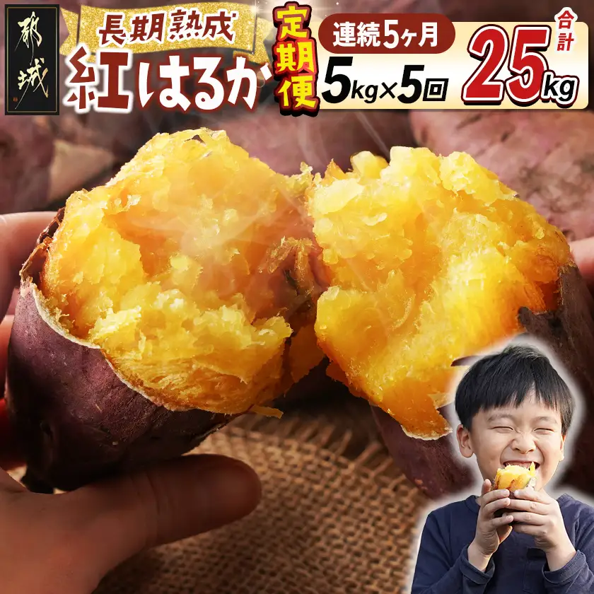 【5回お届け!】都城産 長期熟成紅はるか 5kg 定期便〔TAA5-I201〕_(都城市) 都城産 さつまいも 熟成紅はるか 秀品 5kg サイズ未選別 S～L