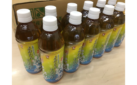 大地の恵み健康茶モリンガ茶500mlPET×24本