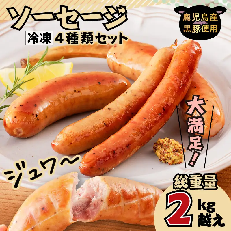 大満足！ソーセージ4種類セット K161-008 肉 豚肉 惣菜 総菜 冷凍