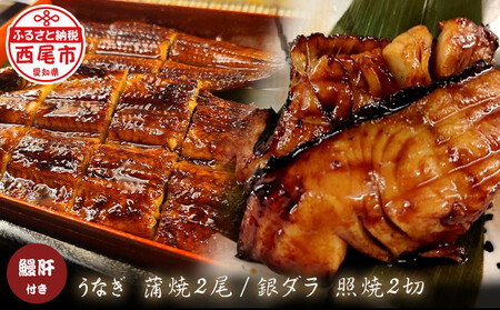 三河一色うなぎ蒲焼き2尾(中サイズ)、銀ダラ2切　肝焼き付き・F022-22