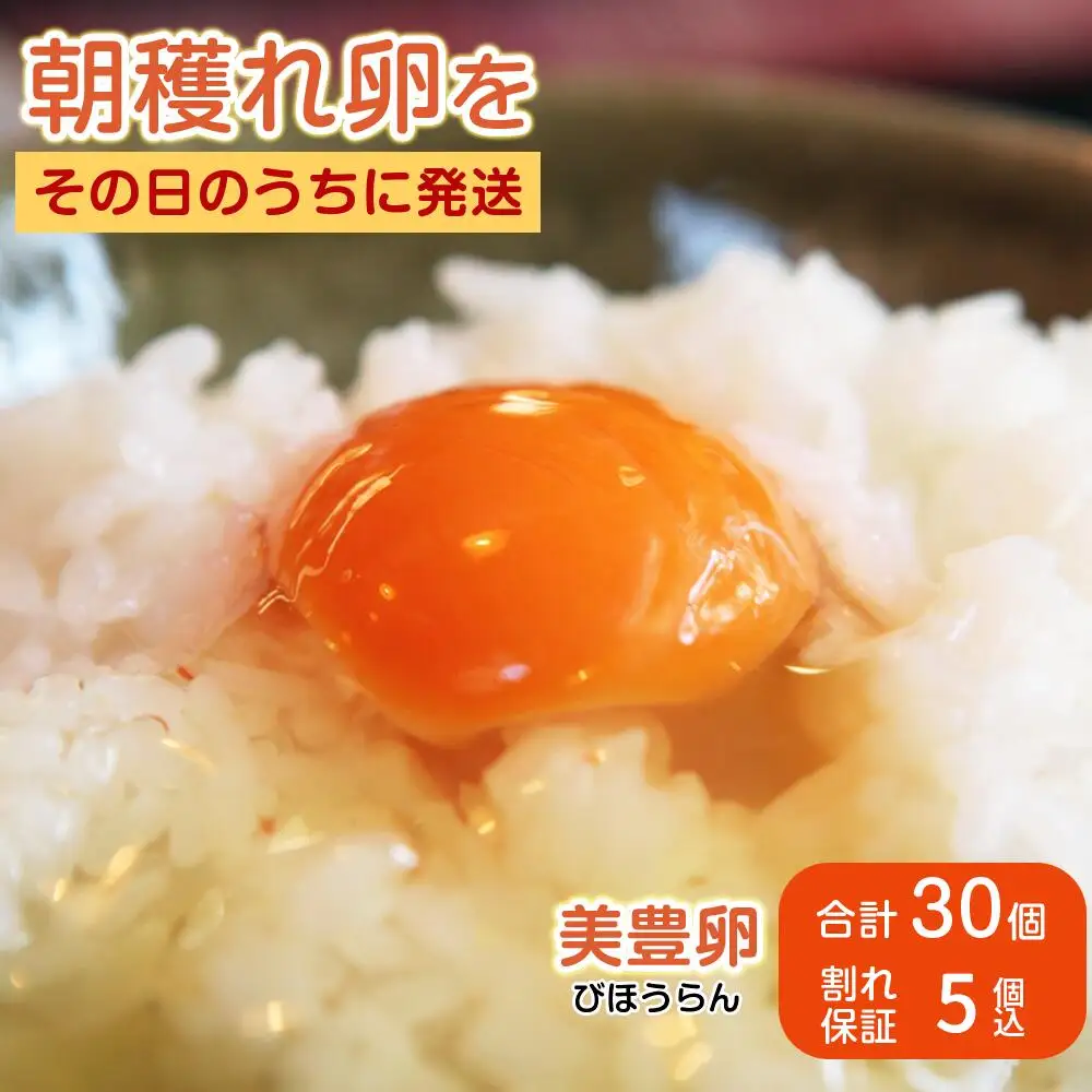 熊福こだわり美豊卵　30個
