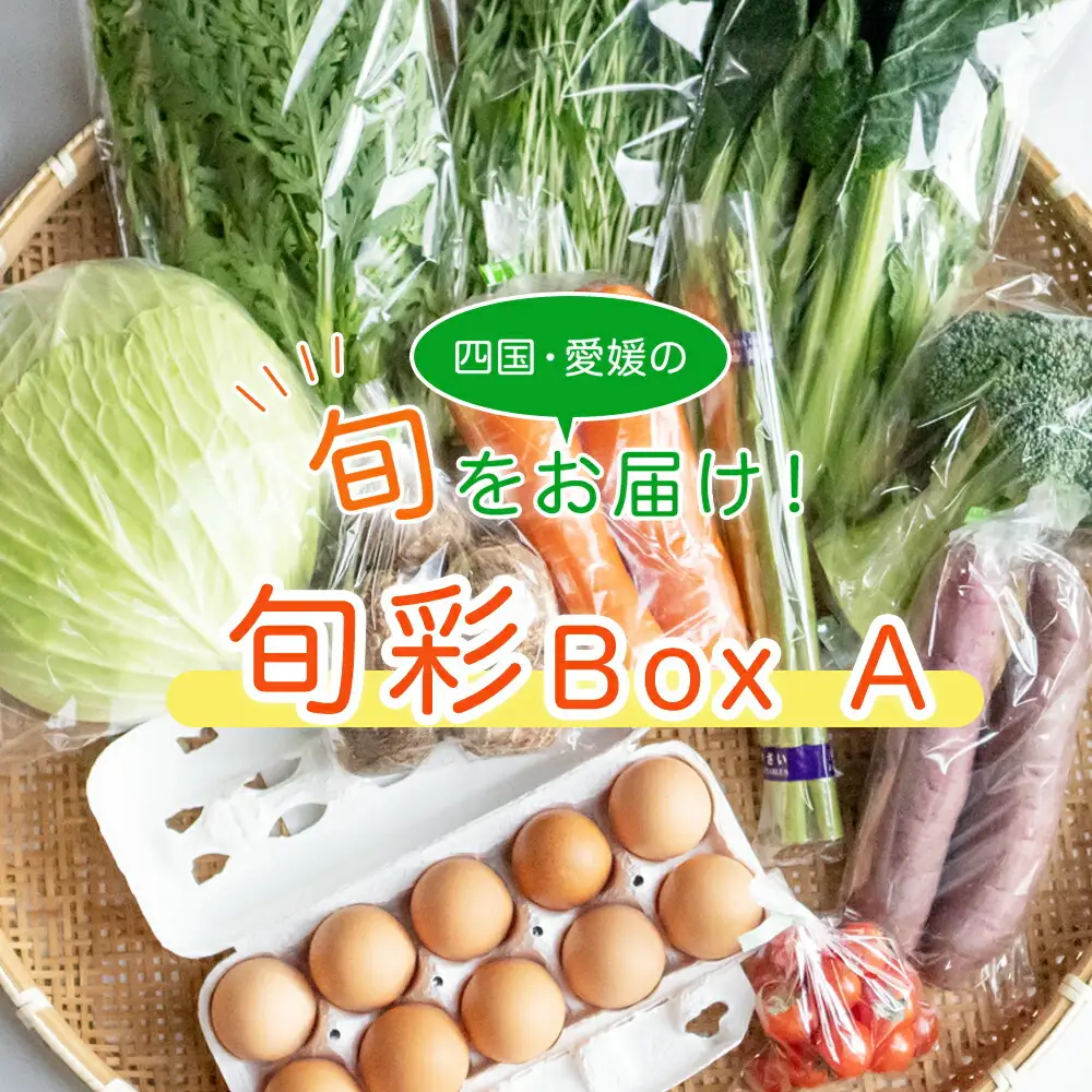 旬菜Box A