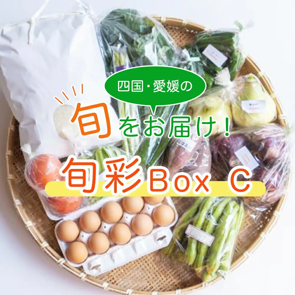 旬菜Box C