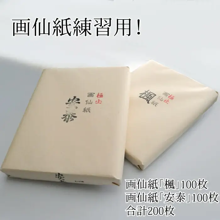 画仙紙練習用！