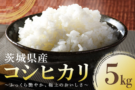 コシヒカリ 5kg こしひかり 米 白米 茨城県産 お弁当 おにぎり 47-A