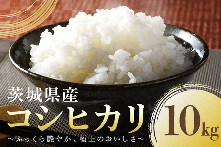 コシヒカリ 10kg こしひかり 米 白米 茨城県産 お弁当 おにぎり 47-B