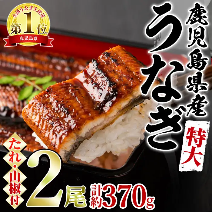 ＜特大＞うなぎ蒲焼き(無頭)(2尾・計約370g・タレ、山椒付)うなぎ 高級 ウナギ 鰻 国産 蒲焼 蒲焼き たれ 鹿児島 ふるさと 人気【アクアおおすみ】【0144360a】