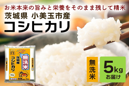 無洗米 コシヒカリ 5kg 米 こしひかり 白米 茨城県産 お弁当 おにぎり エコ 47-J